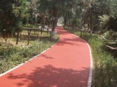 塑胶健身步道